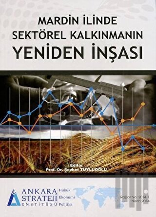 Mardin İlinde Sektörel Kalkınmanın Yeniden İnşası | Kitap Ambarı