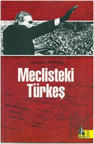 Meclisteki Türkeş