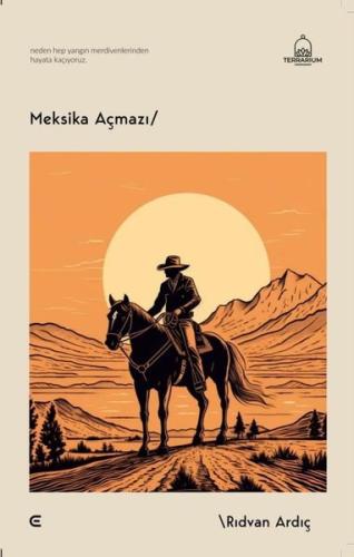 Meksika Açmazı | Kitap Ambarı
