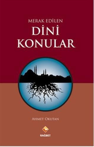 Merak Edilen Dini Konular | Kitap Ambarı