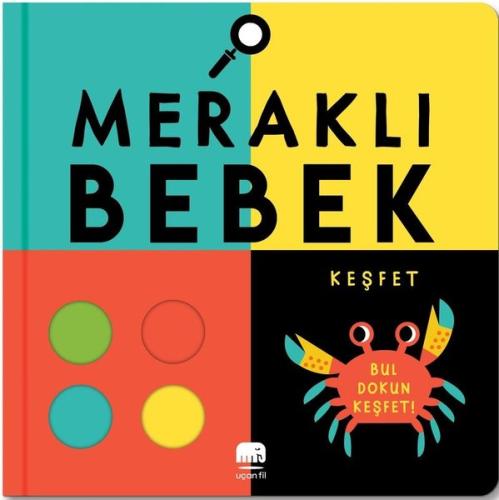 Meraklı Bebek - Keşfet (Ciltli)