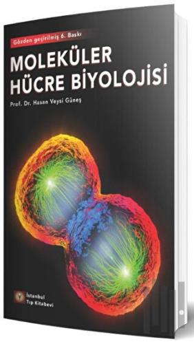 Moleküler Hücre Biyolojisi