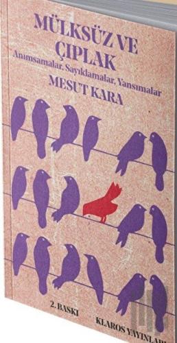 Mülksüz ve Çıplak