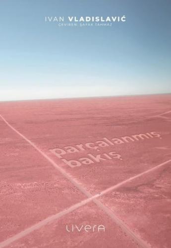 Parçalanmış Bakış | Kitap Ambarı