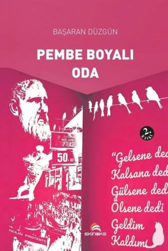 Pembe Boyalı Oda | Kitap Ambarı