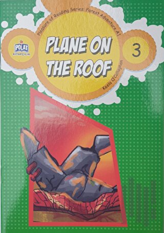 Plane On The Roof - 3