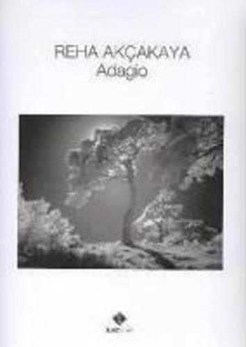 Reha Akçakaya - Adagio | Kitap Ambarı