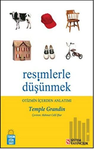 Resimlerle Düşünmek