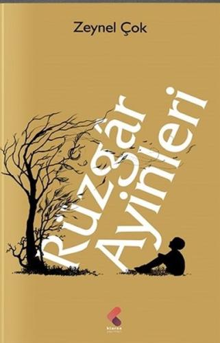 Rüzgar Ayinleri | Kitap Ambarı