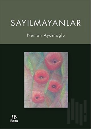 Sayılmayanlar | Kitap Ambarı