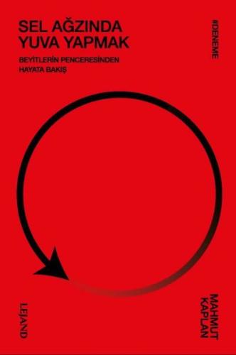 Sel Ağzında Yuva Yapmak - Beyitlerin Penceresinden Hayata Bakış | Kita