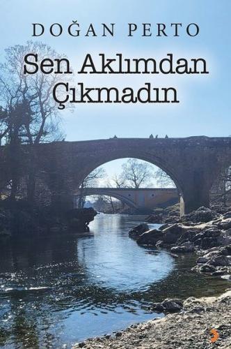 Sen Aklımdan Çıkmadın