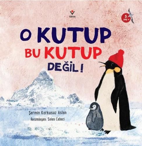 Seni Gözünden Tanırım | Kitap Ambarı