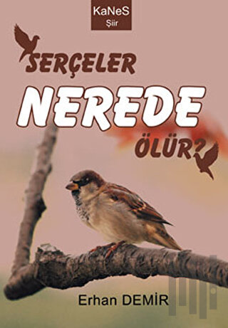 Serçeler Nerede Ölür?