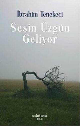 Sesin Üzgün Geliyor