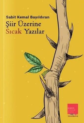 Şiir Üzerine Sıcak Yazılar | Kitap Ambarı