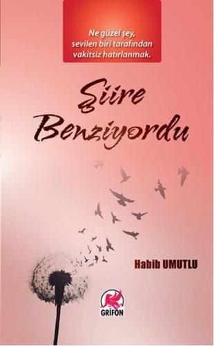 Şiire Benziyordu | Kitap Ambarı