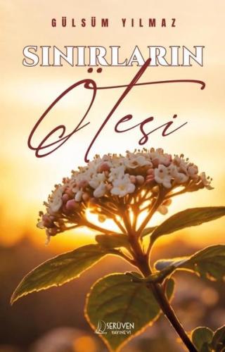 Sınırların Ötesi