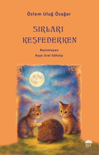 Sırları Keşfederken | Kitap Ambarı