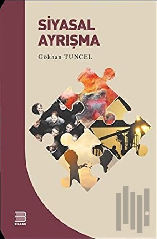 Siyasal Ayrışma