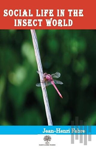 Social Life in the Insect World