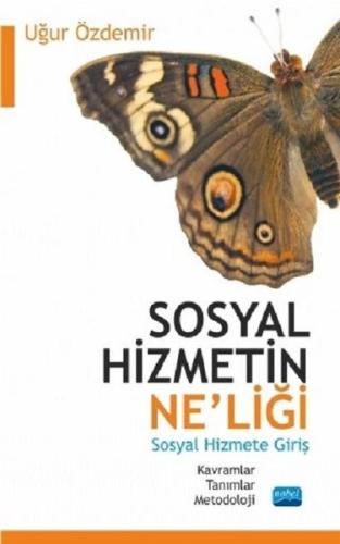 Sosyal Hizmetin Ne'liği-Sosyal Hizmete Giriş