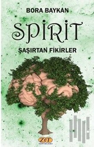 Spirit Şaşırtan Fikirler