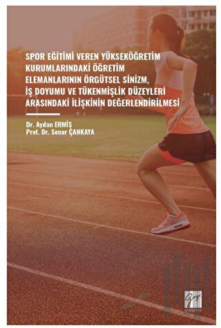 Spor Eğitimi Veren Yükseköğretim Kurumlarindaki Öğretim Elemanlarinin 