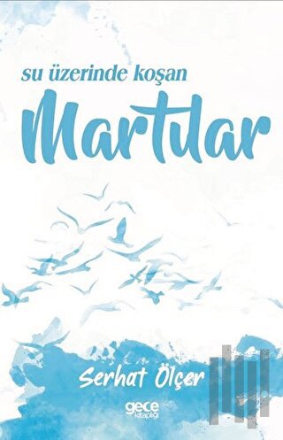 Su Üzerinde Koşan Martılar