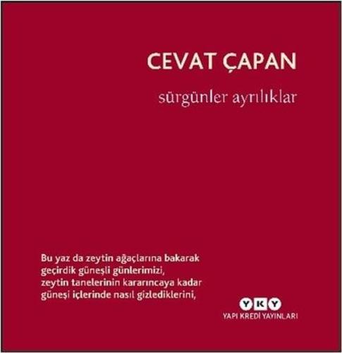 Sürgünler Ayrılıklar | Kitap Ambarı