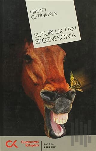 Susurluk’tan Ergenekon’a