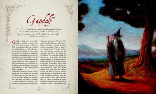 The Hobbit Encyclopedia (Ciltli)