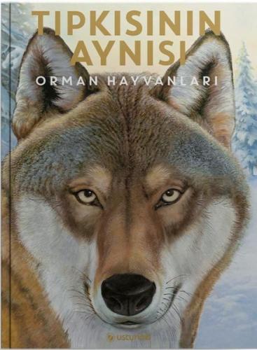 Tıpkısının Aynısı | Kitap Ambarı