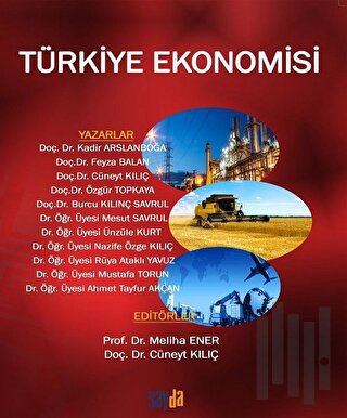 Türkiye Ekonomisi