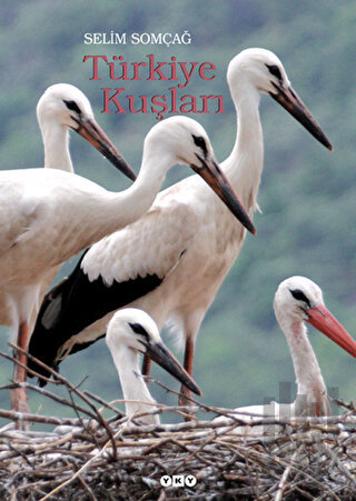 Türkiye Kuşları (Ciltli)