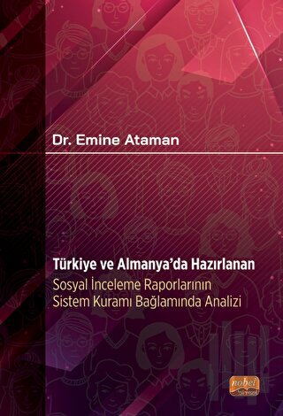 Türkiye ve Almanya'da Hazırlanan Sosyal İnceleme Raporlarının Sistem Kuramı Bağlamında Analizi