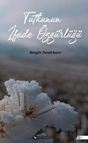 Tutkunun İfade Özgürlüğü | Kitap Ambarı