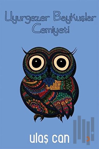 Uyurgezer Baykuşlar Cemiyeti