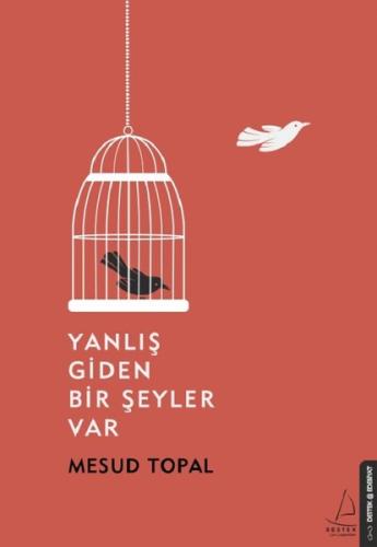 Yanlış Giden Bir Şeyler Var | Kitap Ambarı