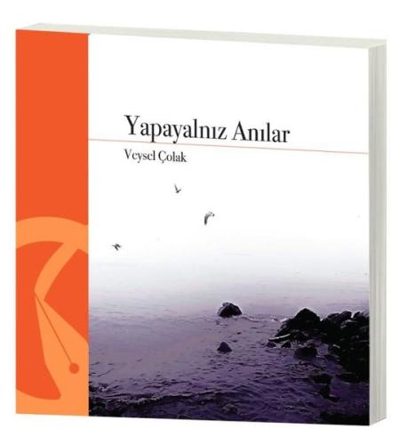 Yapayalnız Anılar | Kitap Ambarı