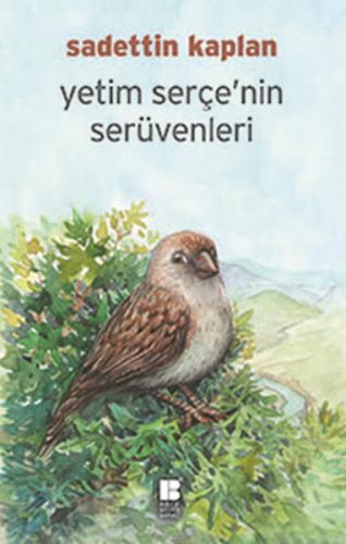 Yetim Serçe'nin Serüvenleri | Kitap Ambarı