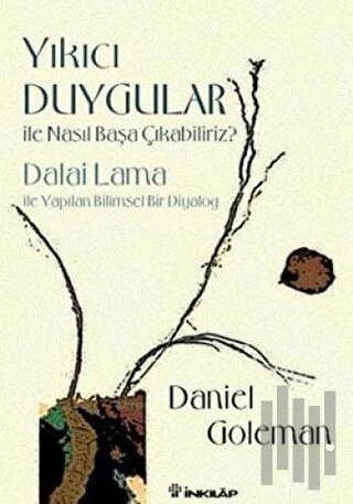 Yıkıcı Duygular İle Nasıl Başa Çıkabiliriz?