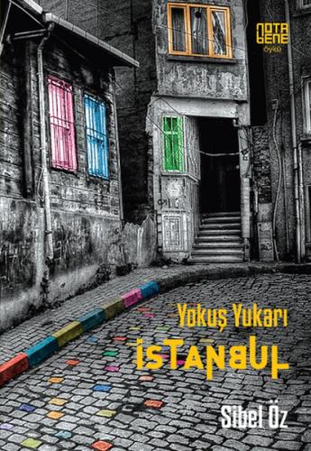 Yokuş Yukarı İstanbul | Kitap Ambarı