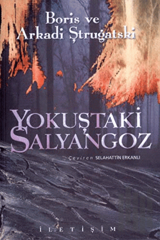 Yokuştaki Salyangoz | Kitap Ambarı