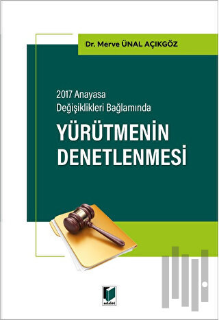 Yürütmenin Denetlenmesi