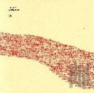 Yürüyenler | Kitap Ambarı