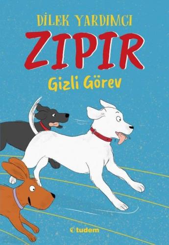 Zıpır Gizli Görev | Kitap Ambarı